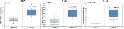 Prognostic Implications of the Complement Protein C1q in Gliomas